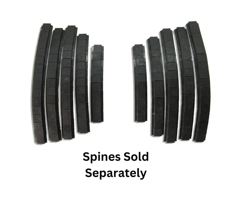 SPINES Main image