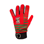 Ballymun Kickhams GAA Gloves